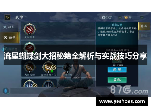 流星蝴蝶剑大招秘籍全解析与实战技巧分享