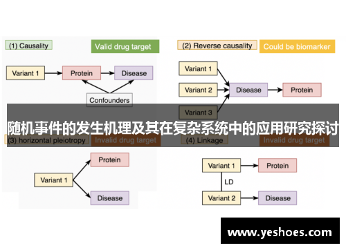 随机事件的发生机理及其在复杂系统中的应用研究探讨