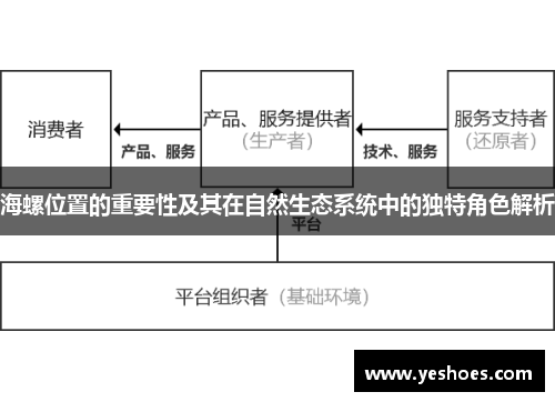 海螺位置的重要性及其在自然生态系统中的独特角色解析